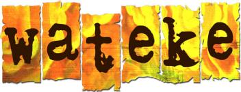 Imagen de WATEKE