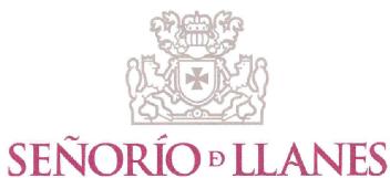 Imagen de SEÑORIO DE LLANES