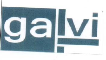 Imagen de GALVI