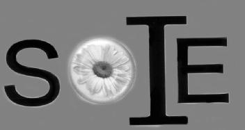 Imagen de SOIE
