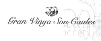 Imagen de GRAN VINYA SON CAULES