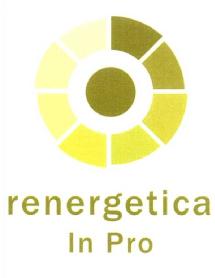 Imagen de RENERGETICA IN PRO