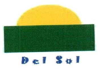 Imagen de DEL SOL