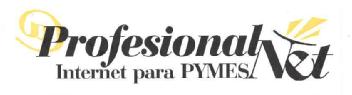 Imagen de PROFESIONALNET INTERNET PARA PYMES
