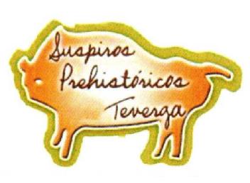 Imagen de SUSPIROS PREHISTORICOS TEVERGA
