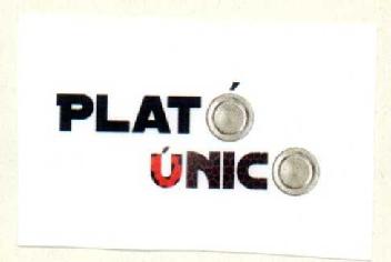 Imagen de PLATO UNICO