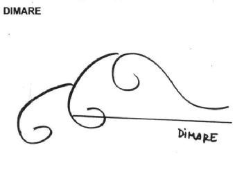 Imagen de DIMARE