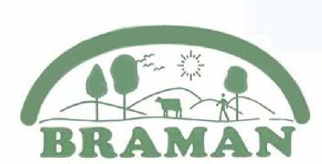 Imagen de BRAMAN