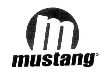 Imagen de M MUSTANG