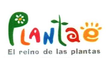 Imagen de PLANTAE EL REINO DE LAS PLANTAS