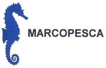 Imagen de MARCOPESCA