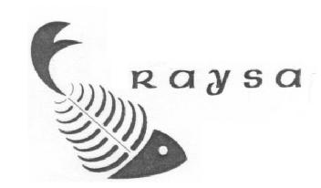 Imagen de RAYSA
