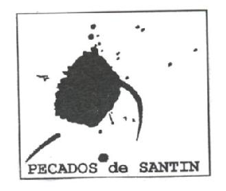Imagen de PECADOS DE SANTIN