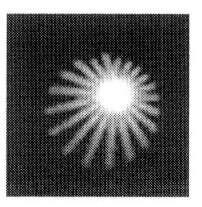 Imagen de M2771819