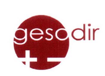 Imagen de GESADIR