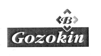 Imagen de B GOZOKIN