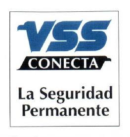 Imagen de VSS CONECTA LA SEGURIDAD PERMANENTE