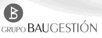 Imagen de GRUPO BAUGESTION