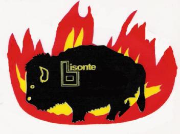 Imagen de BISONTE
