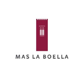 Imagen de MAS LA BOELLA