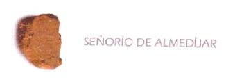Imagen de SEÑORIO DE ALMEDIJAR