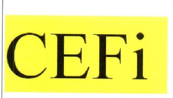 Imagen de CEFI