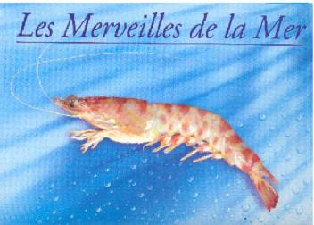 Imagen de LES MERVEILLES DE LA MER