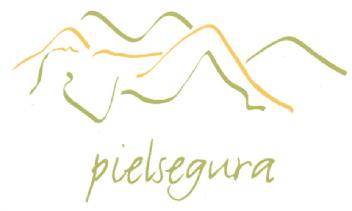 Imagen de PIELSEGURA