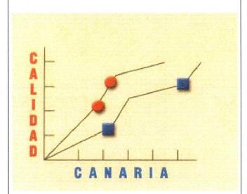 Imagen de CALIDAD CANARIA