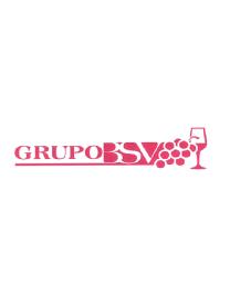 Imagen de GRUPO BSV