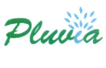 Imagen de PLUVIA