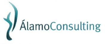 Imagen de ALAMO CONSULTING