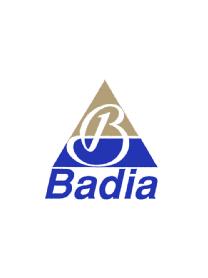 Imagen de B BADIA
