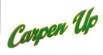 Imagen de CARPEN UP