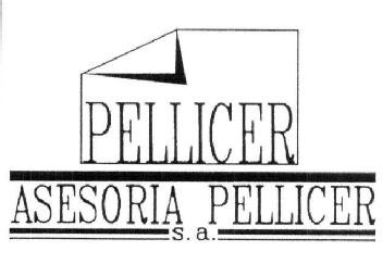 Imagen de PELLICER ASESORIA PELLICER S.A