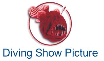 Imagen de DIVING SHOW PICTURE