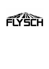 Imagen de FLYSCH