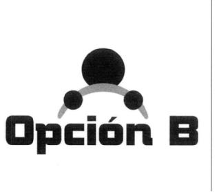Imagen de OPCION B