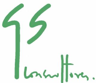 Imagen de GS CONSULTORES