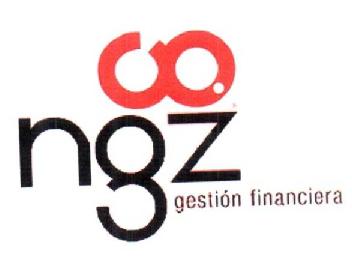 Imagen de NGZ GESTION FINANCIERA