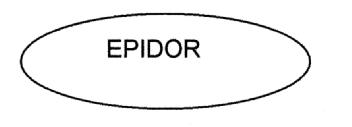 Imagen de EPIDOR