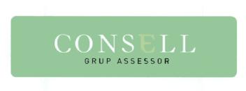 Imagen de CONSELL GRUP ASSESSOR