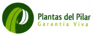 Imagen de PLANTAS DEL PILAR GARANTIA VIVA