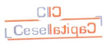 Imagen de CESELCAPITAL