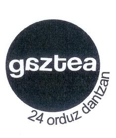 Imagen de GAZTEA 24 ORDUZ DANTZAN