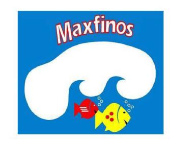 Imagen de MAXFINOS