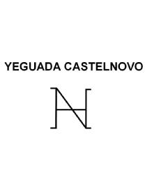 Imagen de YEGUADA CASTELNOVO NH