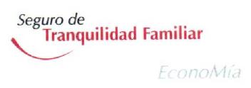 Imagen de SEGURO DE TRANQUILIDAD FAMILIAR ECONOMIA