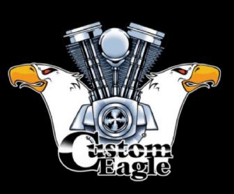 Imagen de CUSTOM EAGLE