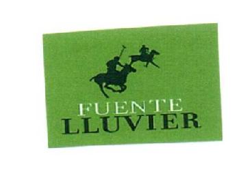 Imagen de FUENTE LLUVIER